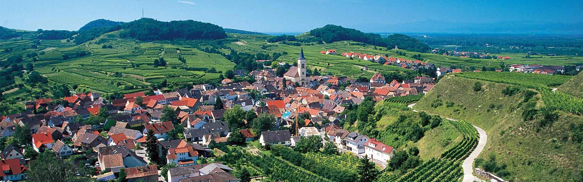 Oberrotweiler Winzerverein